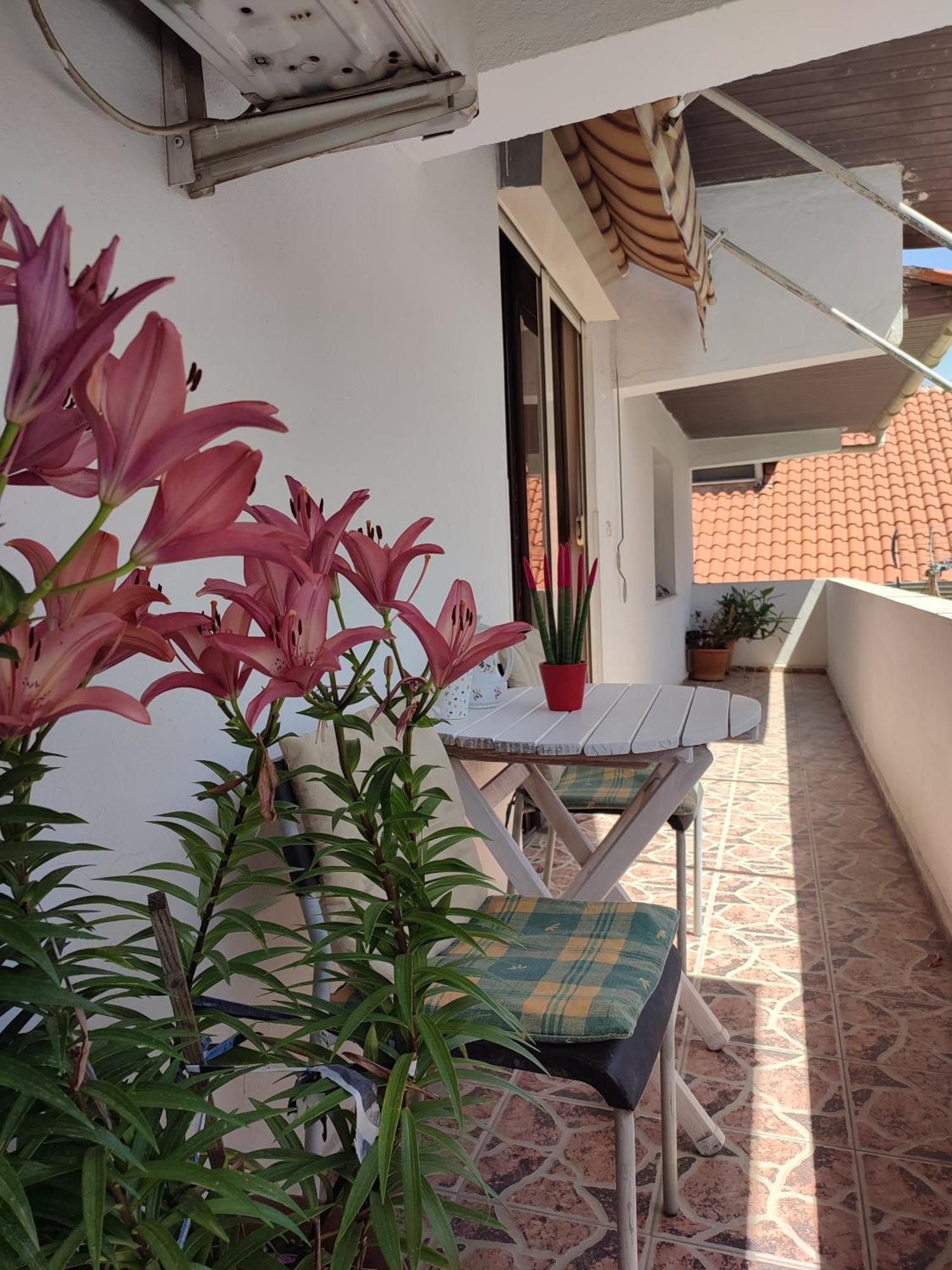 Rooms Xani Тирана Екстериор снимка